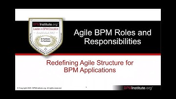 Agile BPM Roles and Responsibilities Short Preview