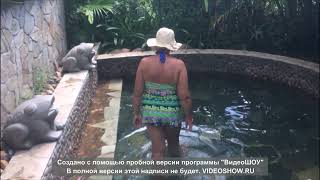 Горячие источники в горах острова Хайнань /Hot springs in the mountains of Hainan Island