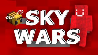 bumblebees vs skywars players @DiffyMC