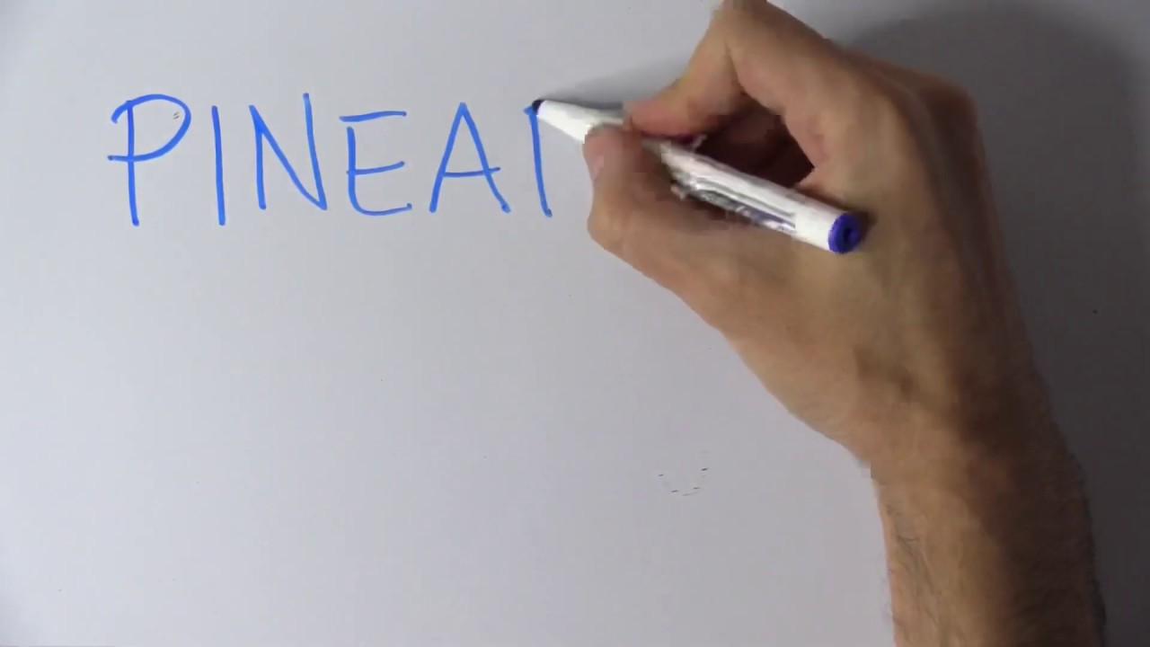 Cómo Se Escribe Chicle En Inglés