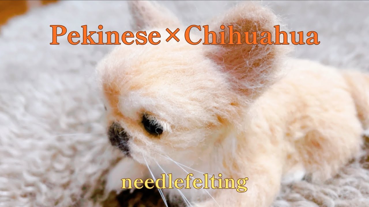 羊毛フェルトで作るペキチワ。#needlefelting #ペキチワ #cute #dog #お迎え待ち