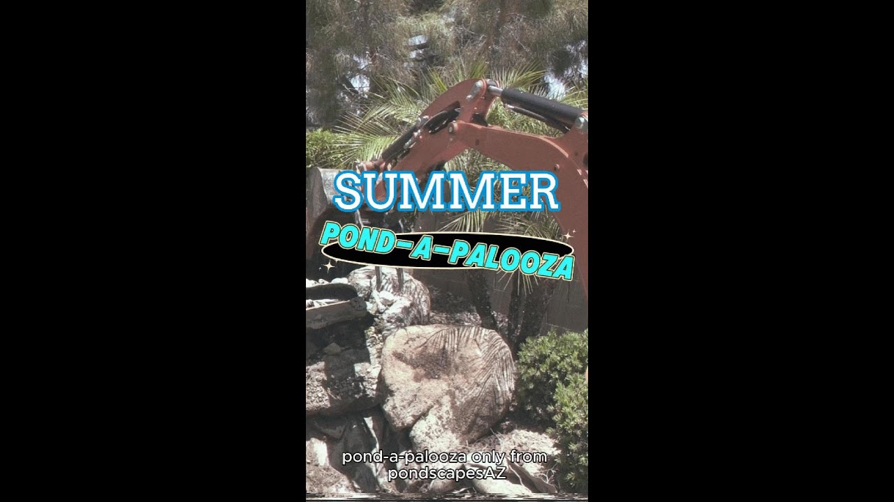 POND-A-PALOOZA The Backyard Blowout #shorts