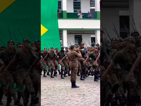 Os Melhores Dobrados e Marchas 