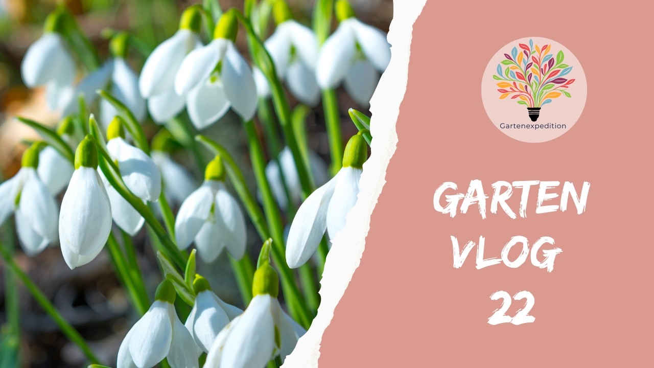 Das blüht jetzt! + Blumenzelt für die Kinder - Gartenvlog 22 - Gartenexpedition #naturgarten
