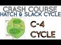 C4 CYCLE/ Hatch and Slack pathway for NEET/AIIMS/JIPMER-Crash Course.