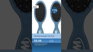 Wet Brush Detangler Hair Brush