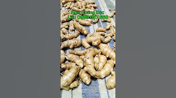 Củ Ngải Chống Độc, #NgảiChốngĐộc, #Short, #VườnLanPhươngLiễu