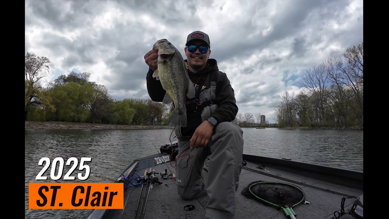 The Tree That Kept Giving! Bass Fishing St. Clair 2025