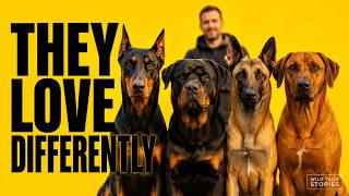 Why Certain Dogs Build Stronger Bonds