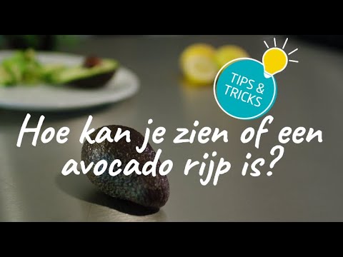 Video: Wanneer weet je of avocado rijp is?