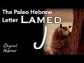 12. Lamed | Paleo Hebrew Alphabet | THE LORD is My Shepherd, a New Heart and New Spirit, and more