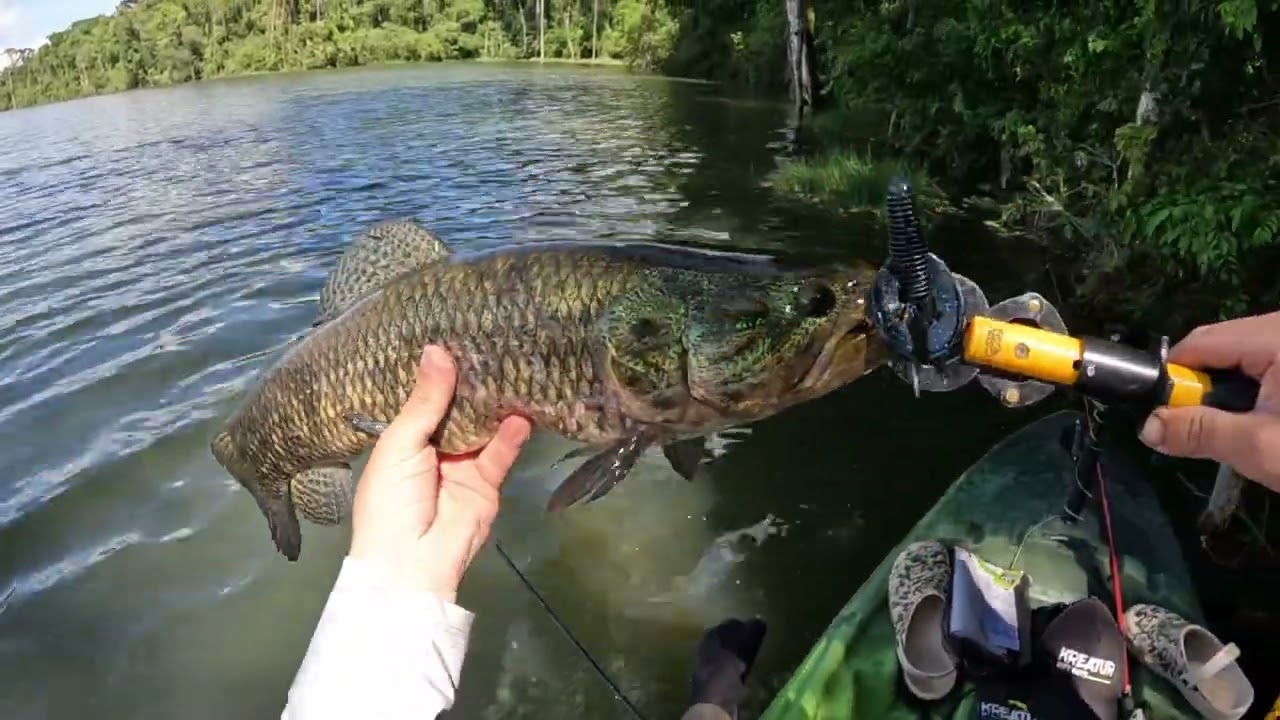 Em busca do Peixão para o Torneio on-line, saiu??? Represa de Tibagi Pr.