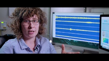 Geophysics at Sandia