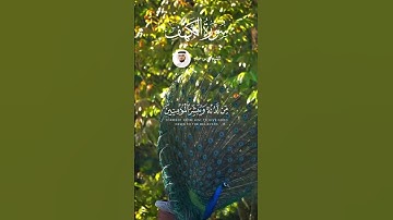 الشيخ فارس عباد  #قرآن #اكسبلور #explore #لايك #قران_راحة_نفسية #سورة_الكهف  #قران_كريم