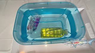 Animals: How do Sharks Float