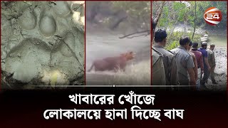 আবারো বাঘ আতঙ্কে বাগেরহাটের ৫ গ্রামে মানুষ | Tiger | Bagerhut News | Sundarban | Channel 24 screenshot 2