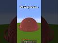Minecraft Will Verity Survive...🤯