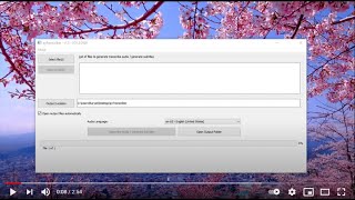 [Tutorial] pytranscribe - a free tool to generate transcripts or subtitles for audio or videos screenshot 4