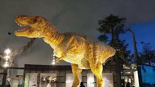 福井恐竜博物館】リアルな動きのティラノサウルス Tyrannosaurus in