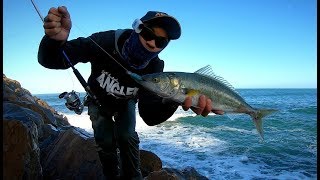 SALMON SESSION OFF THE ROCKS! - Using Stickbaits, Soft Plastics & Slugs screenshot 3