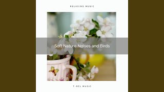 Feel Hard Relax with Unique Nature Tunes for Recharge pt. 1 screenshot 4