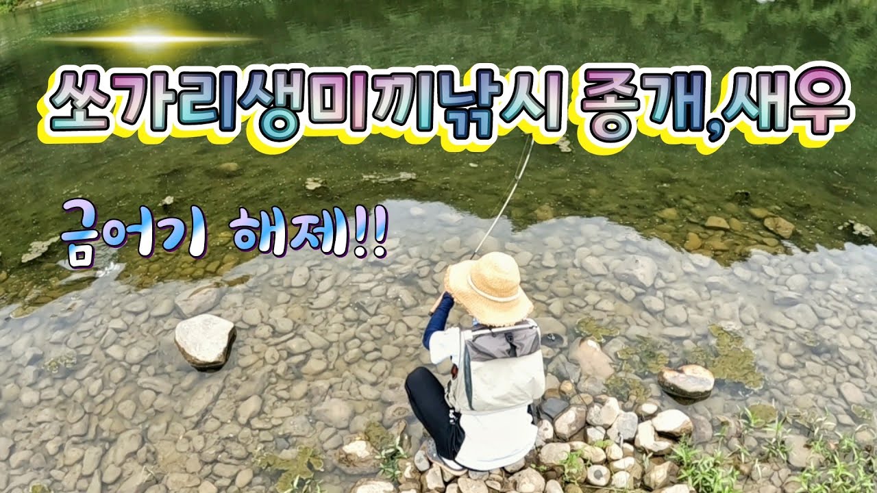 새우, 종개 쏘가리 생미끼낚시!!