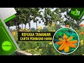 Refugia Tanaman cantik pembasmi hama