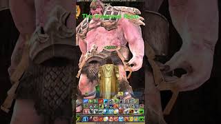 The Shadowed Roost - first boss