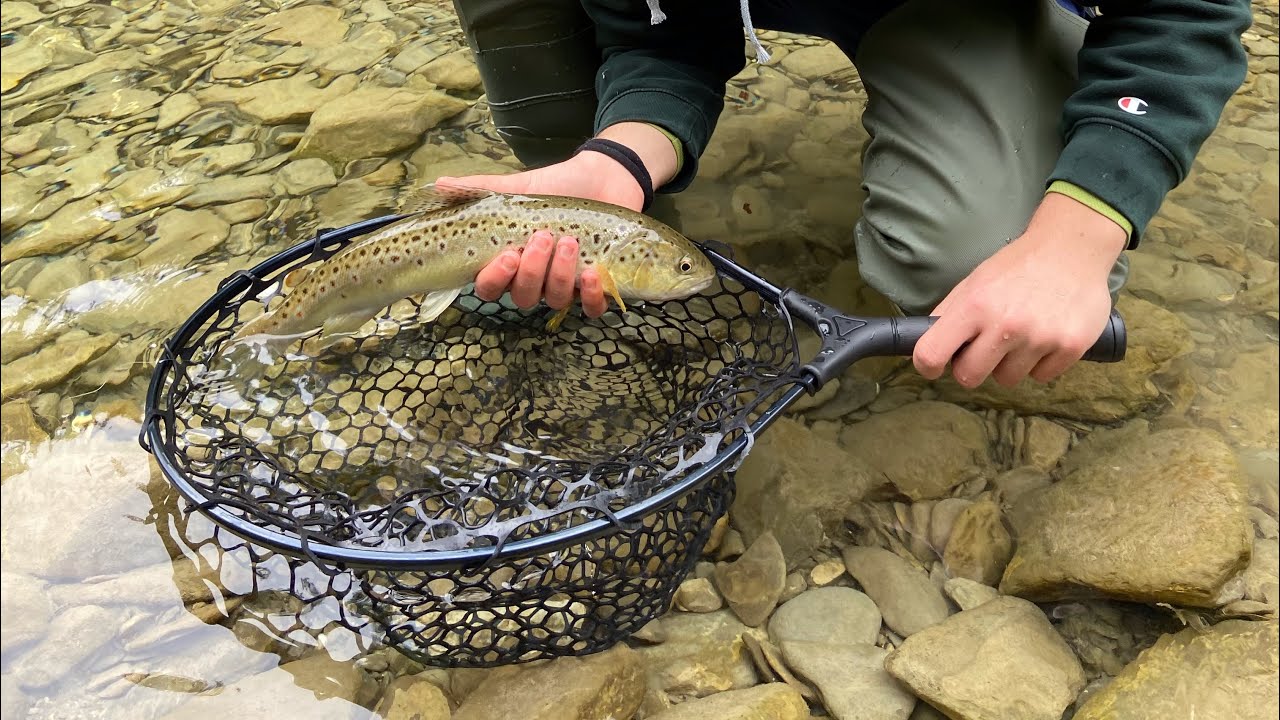 LA FARIO , LA REGINA DEL FIUME!! SPINNING ALLA TROTA IN TORRENTE! #1