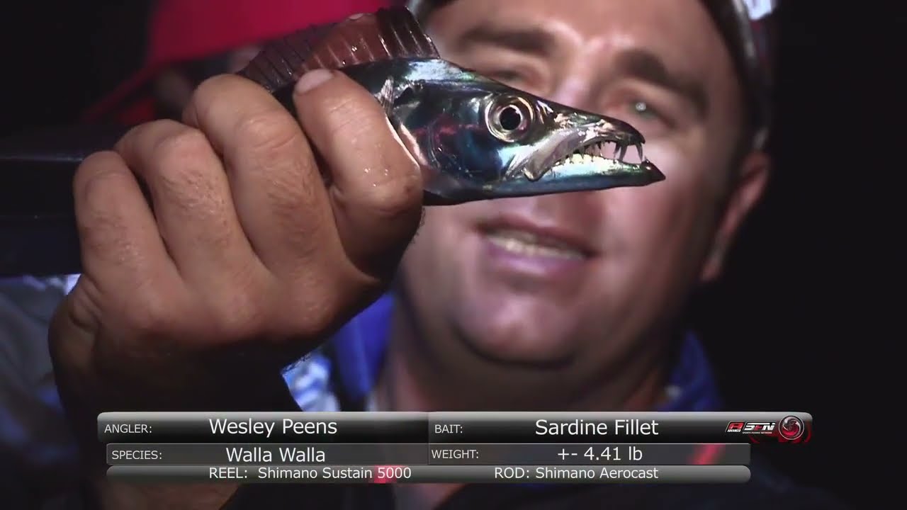 Asfn Team Shimano Wala Wala Fishing In Durban Harbour Shimano Harbour Durban