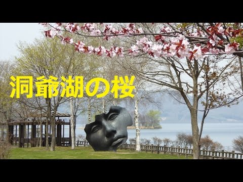 【北海道観光】洞爺湖の桜＝北海道の絶景