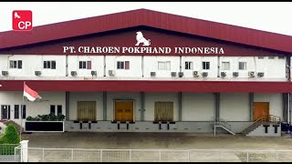 Company Profile PT. Charoen Pokphand Indonesia - Fiesta Ready Meal