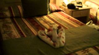 VID00074.AVI