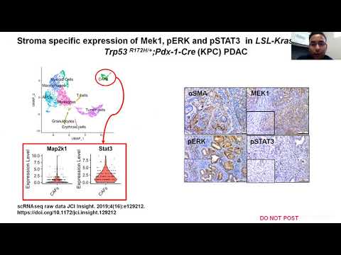 Video: Multiplex Kwantitatieve Analyse Van Kanker-geassocieerde Fibroblasten En Immunotherapie-uitkomst Bij Gemetastaseerd Melanoom