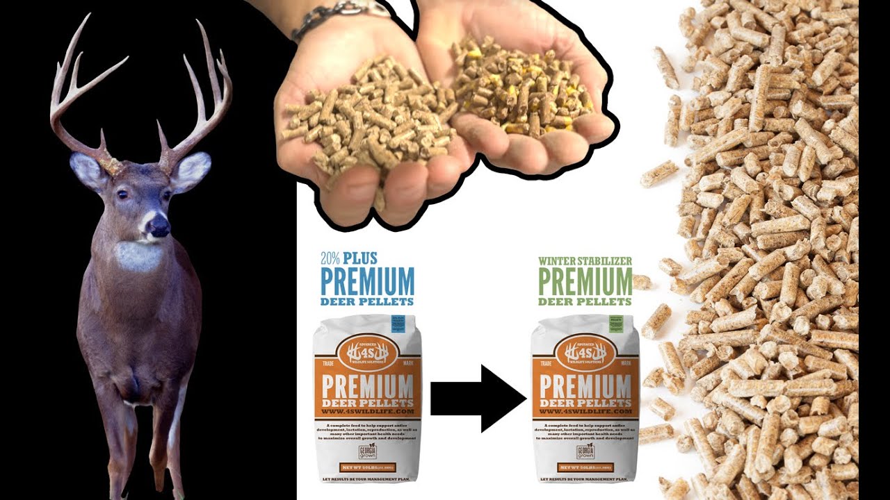 Fall & Winter Deer Feed Transition