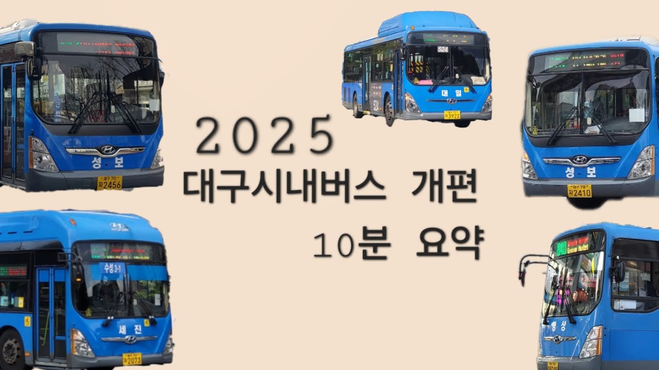 (설기념) 대구시내버스 개편 정리