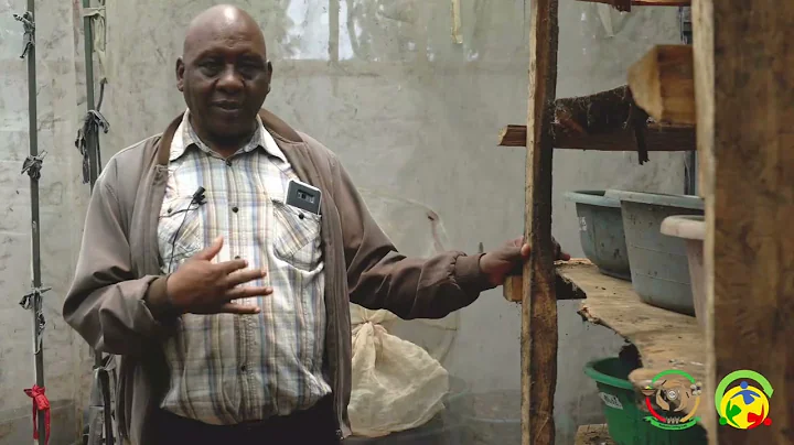 Meet Mr.  Githingi  - Using insects to improve circularity in Kenyan food systems