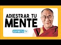 👨‍🦲ADIESTRAR LA MENTE || EL Dalai Lama 😊 APRENDE A ESTRA TRANQUILO