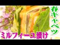 【春キャベツ】塩と醤油だけ!簡単激うまミルフィーユ漬け! ※乙女要素多め