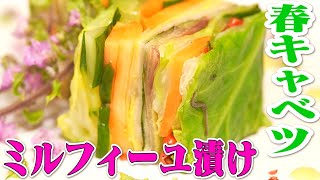 【春キャベツ】塩と醤油だけ!簡単激うまミルフィーユ漬け! ※乙女要素多め