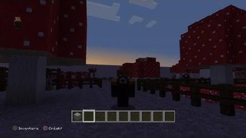 Nouveau arivant sur la team#TOUTOUSSE