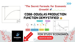 The Cobb-Douglas Production Function