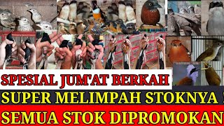 Download Lagu 🔴 TERUPDATE SUPER MELIMPAH !! PROMO JUMAT BELI ECER HARGA GROSIR 0838-7553-6945 MP3 Download Lagu 🔴 TERUPDATE SUPER MELIMPAH !! PROMO JUMAT BELI ECER HARGA GROSIR 0838-7553-6945 MP3