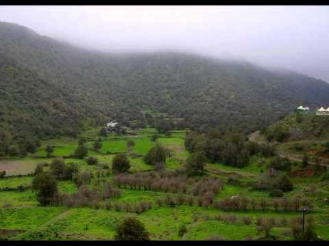 يوتيوب حيل الله أقوى المنشدعبدالعزيز الغامدي 