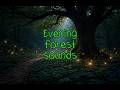 Can’t Sleep? Try This… | Evening Forest Sounds Under a Giant Oak #ambient  #relaxing  #nature