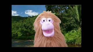 Monkey Toz Video Gram screenshot 2