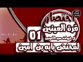 اختصار قرة العينين في غزوات سيد الكونين ﷺ ل محنض بابه بن امين 