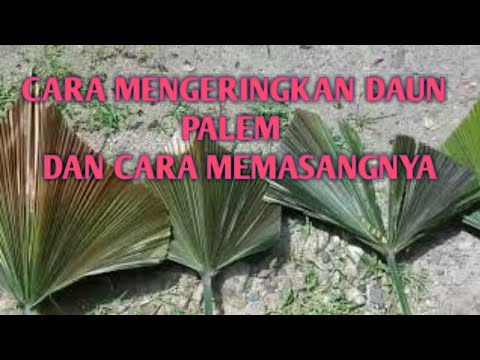 Video: Cara Mengeringkan Kepingan Oren Untuk Hiasan