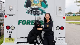 5 Things with FI Supervisor and HRD K9 Handler Miller | Ep 145 | PSO Day in the Life