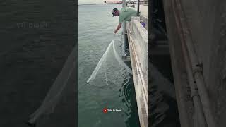 The Fisherman Expected a Giant Catch… But Got a Surprise! 🎣😲 #FishingLife#ExpectationVsRe #Shorts